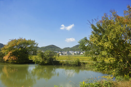 宁静乡村美景