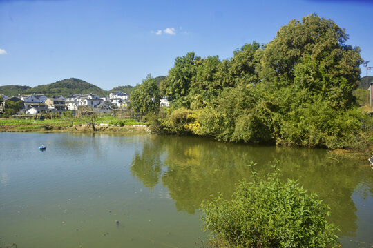 乡村美景