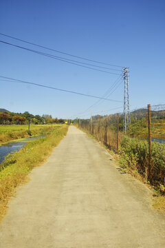 乡村道路秋景