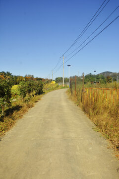 乡村道路