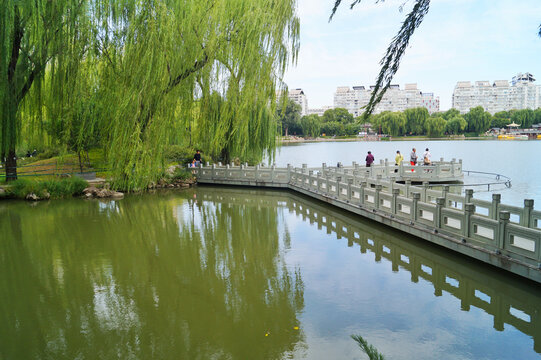北京紫竹院公园湖景