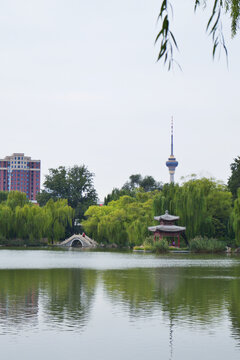 北京紫竹院风景