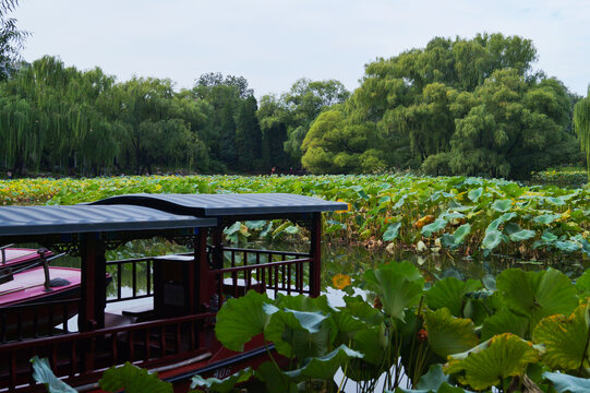 北京紫竹院公园