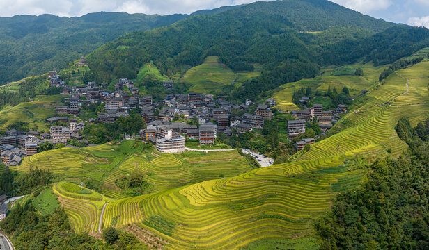 龙脊梯田