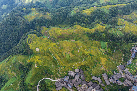 桂林龙脊梯田