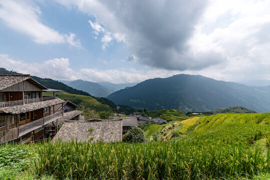 龙脊梯田