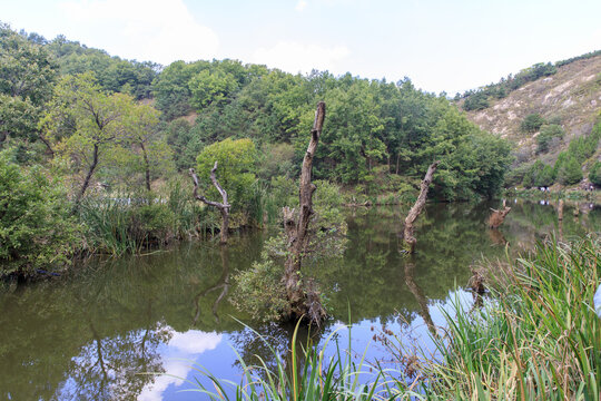 莒南无极鬼谷景区