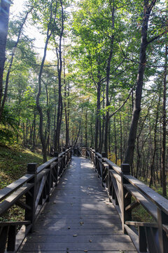 沂蒙山旅游区龟蒙景区