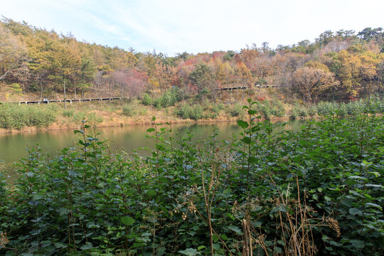 秋日蒙山