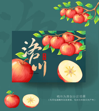 洛川苹果包装插画