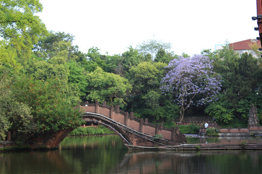 房湖公园湖景