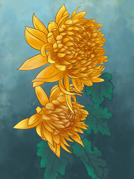 國風菊花