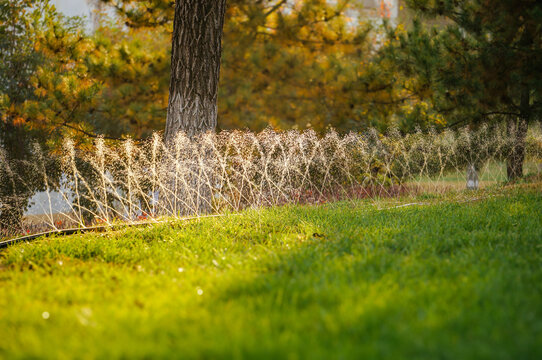 秋天公园草地的园林灌溉