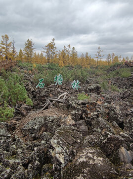 阿尔山石塘林火山岩