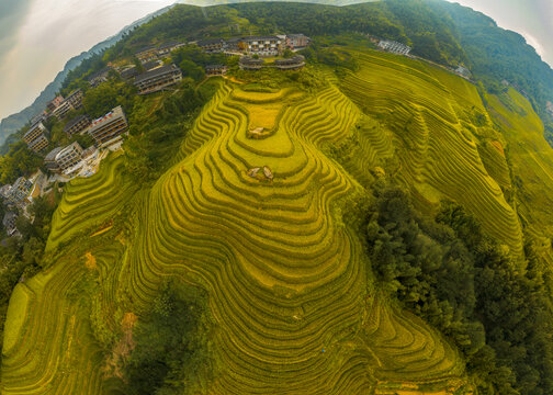 龙脊梯田