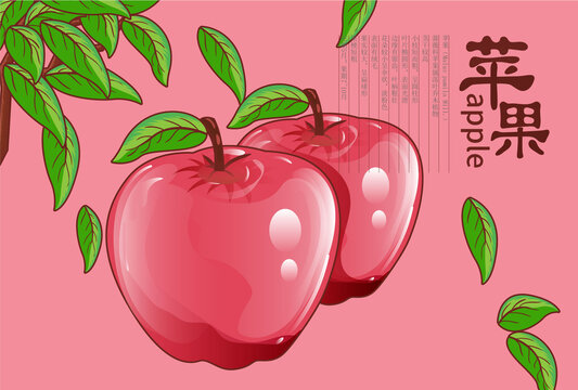 蘋果包裝設(shè)計(jì)