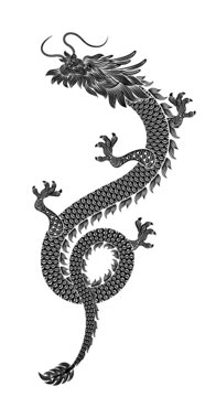 龍手繪矢量