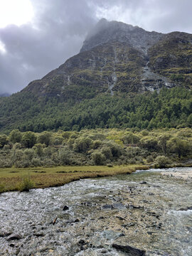 高山草甸溪流