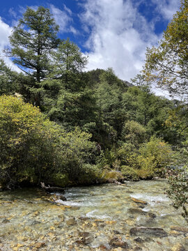 高山溪流