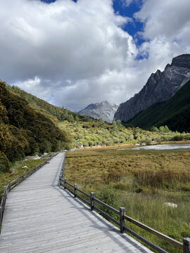 高山草原栈道