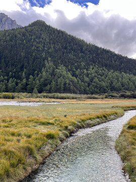 高山草甸溪流