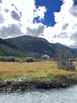 高山草甸溪流