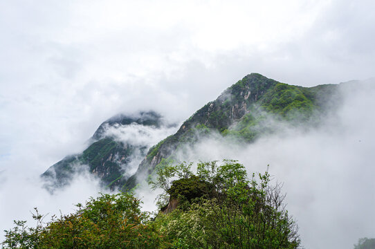 山中云雾