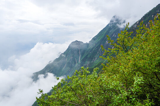 四川轿顶山