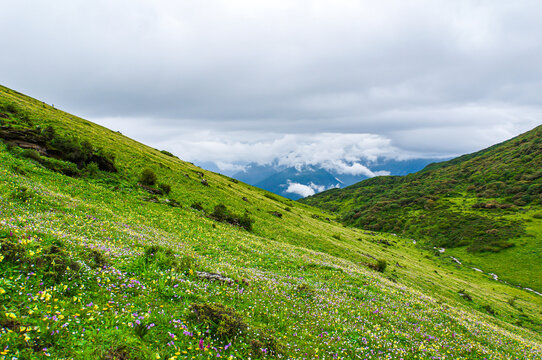 四川轿顶山