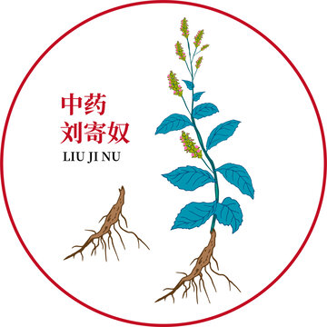 劉寄奴