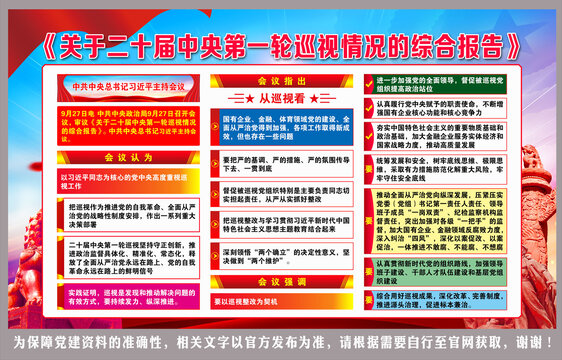 巡視情況的綜合報(bào)告