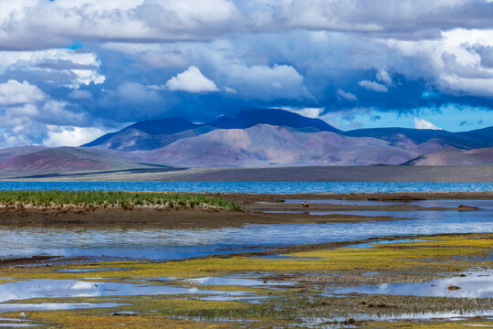 西藏扎日南木措湿地蓝天白云