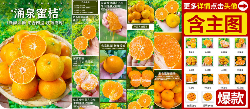 涌泉蜜桔詳情