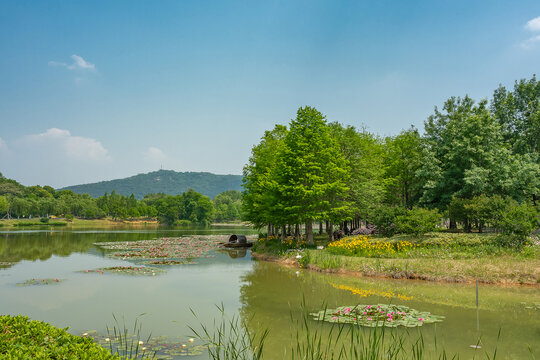 南京东郊燕雀湖