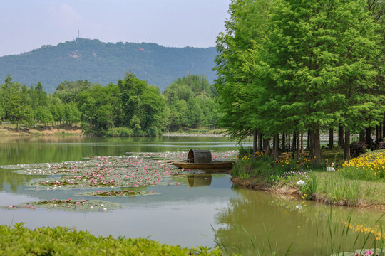 南京东郊燕雀湖3