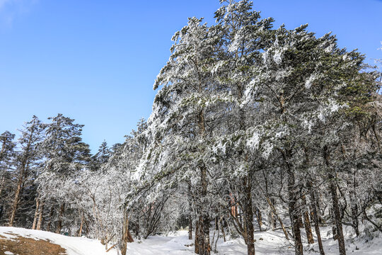 四川峨眉山金顶雪景