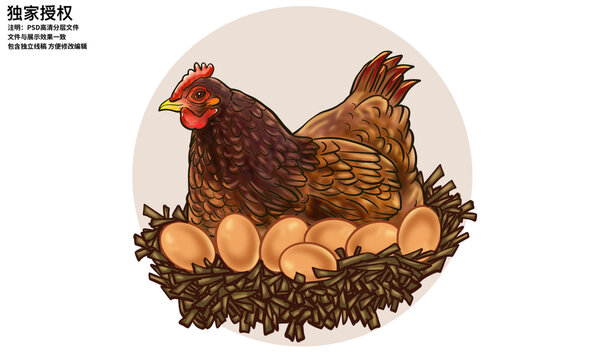 農(nóng)家笨雞蛋插畫