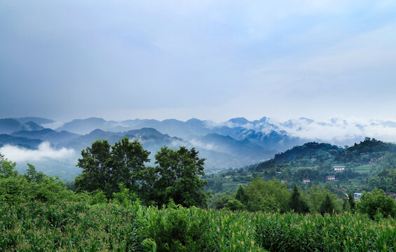 绿色乡村