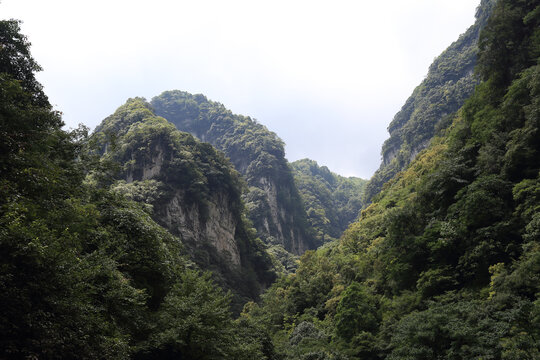 高山