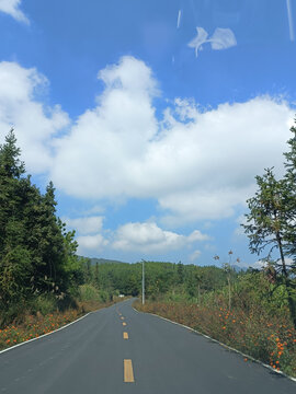 柏油路