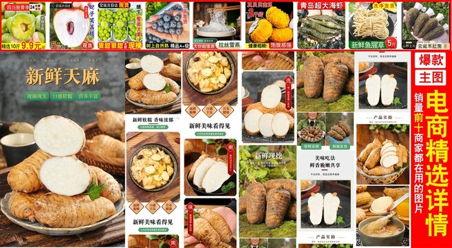 新鮮天麻詳情頁