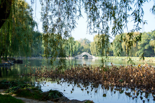 圆明园秋日湖景