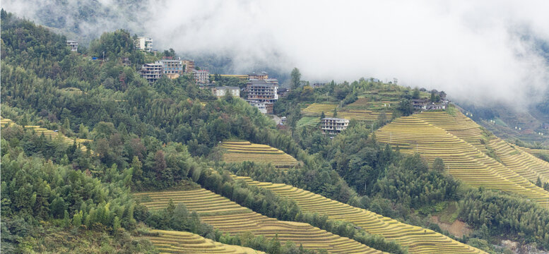 广西龙脊梯田风光