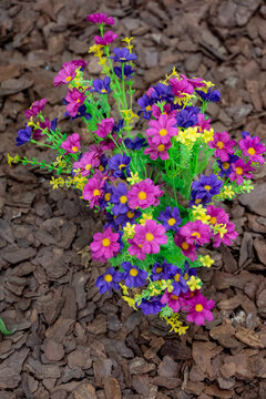 彩色小花装饰花