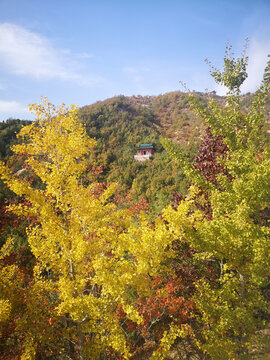 山上的寺庙