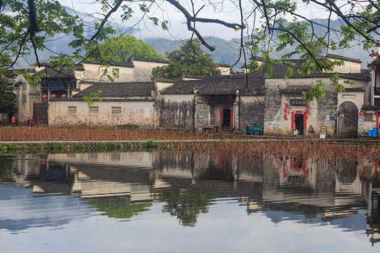 宏村的早晨