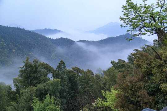 高山晨雾