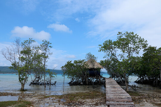 海岛度假的自然风景