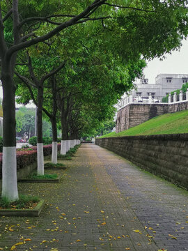 雨后人行街道