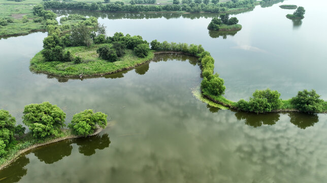 辽河湿地